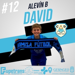 12-DAVID