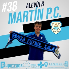 38-MARTIN-P.C